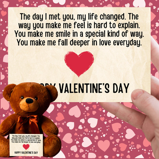 Valentine's Day Teddy Bear with Canvas Message Card - SS2