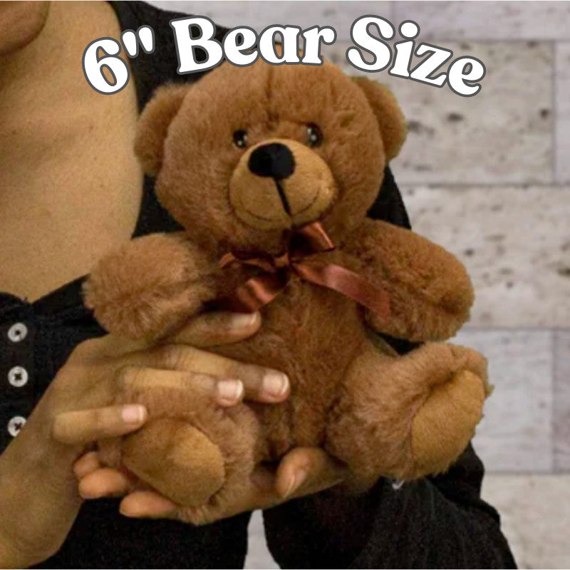 To My Girlfriend Teddy Bear with Canvas Message Card - SS4